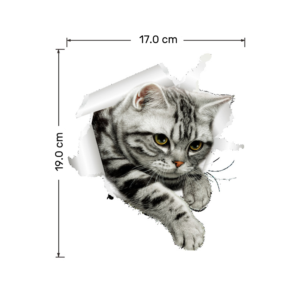 3D sticker Brits Korthaar Silver Tabby kat. Afmetingen: 19 cm x 17 cm. Geschikt voor gladde oppervlakken.