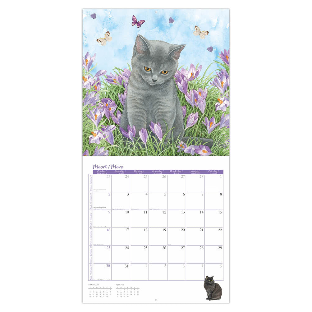 Franciens Katten kalender 2025