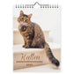 Katten WEEKnotitie kalender 2025